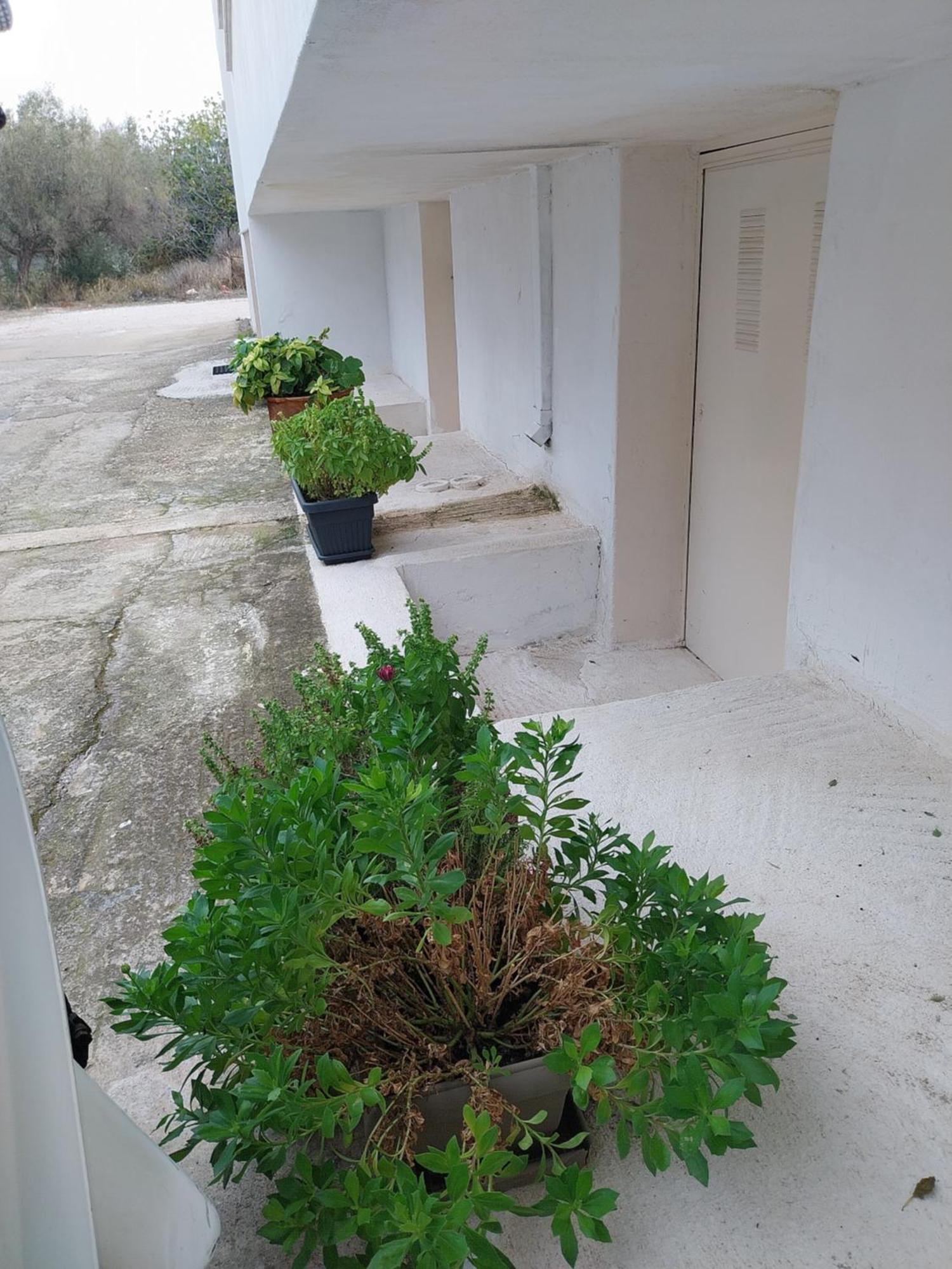 Nav Apart, Salamina Paloukia المظهر الخارجي الصورة