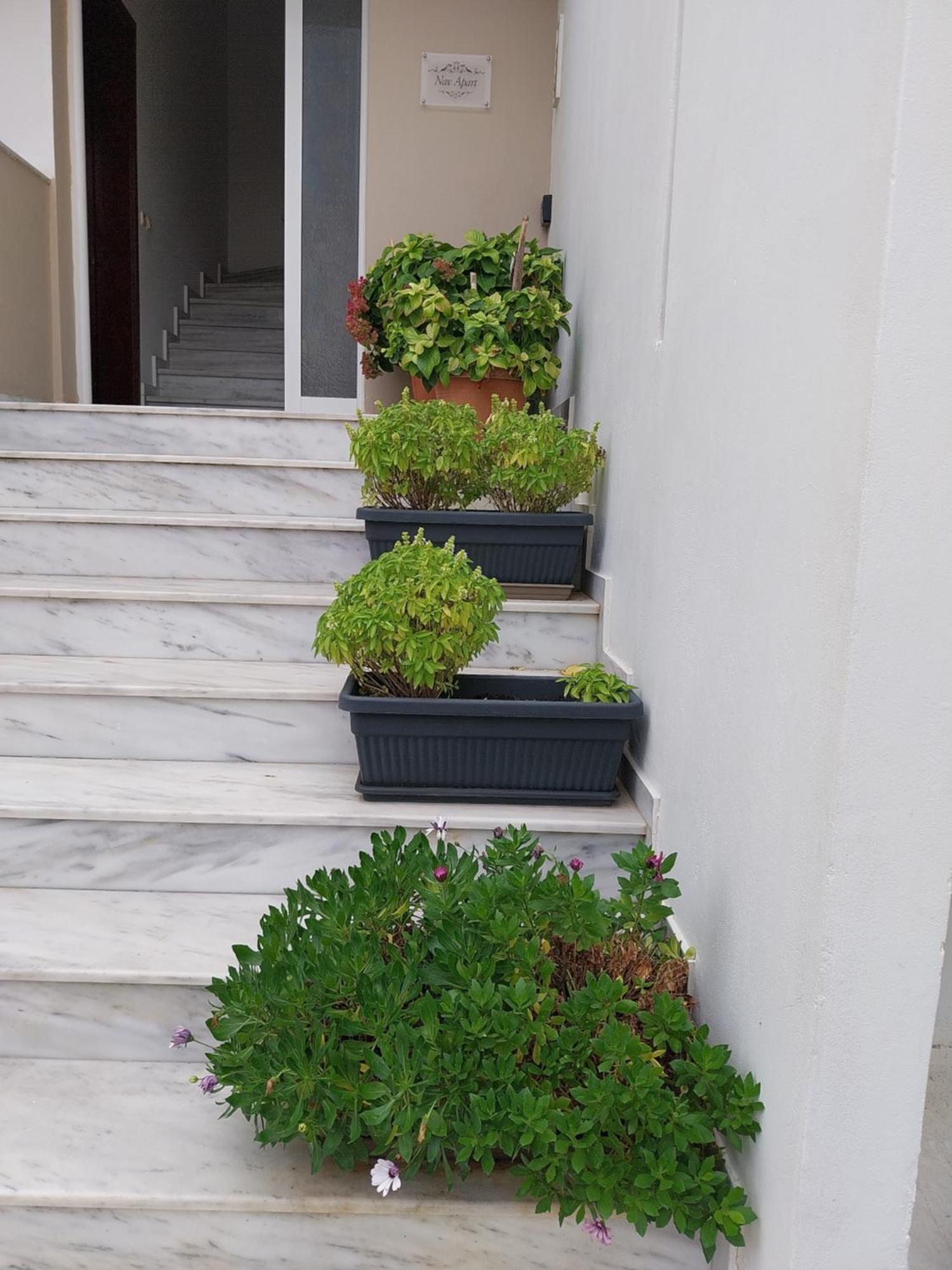 Nav Apart, Salamina Paloukia المظهر الخارجي الصورة